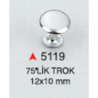 75`LİK TROK